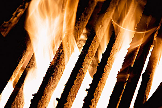 火焰,烧烤,艾伯塔省,加拿大