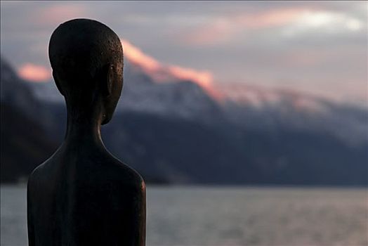 雕塑,日落,湖,上奥地利州,奥地利,欧洲