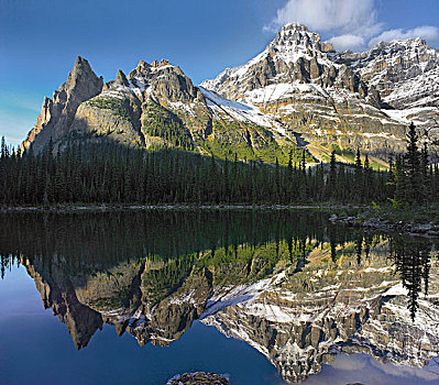 教堂山,攀升,幽鹤国家公园,不列颠哥伦比亚省,加拿大