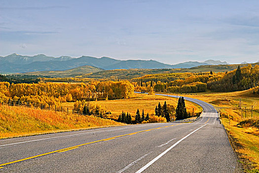 公路,远景,山峦,树,艾伯塔省,加拿大