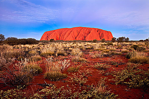 乌卢鲁巨石,石头,蓝色,钟点,乌卢鲁卡塔曲塔国家公园,北领地州,澳大利亚