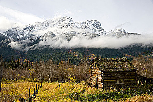 小屋,山谷,山,背景,不列颠哥伦比亚省,加拿大