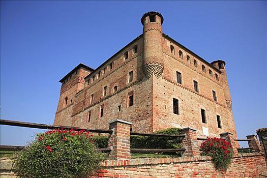 城堡,巴罗洛葡萄酒,区域,意大利,欧洲
