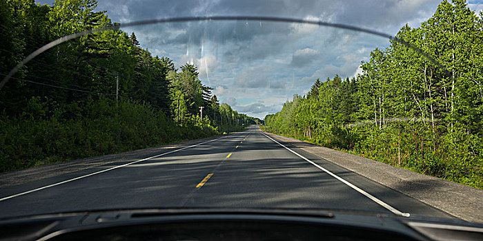 道路,树,风景,汽车,风档玻璃,新布兰斯维克,加拿大