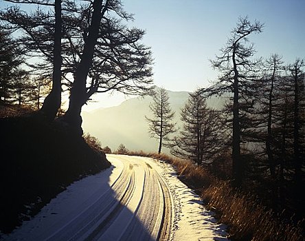 道路,积雪,平和,风景