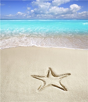 加勒比,海滩,海星,白沙,夏天
