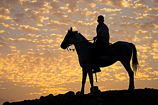 日出,马,骑乘,吉萨金字塔,高原,靠近,开罗,埃及