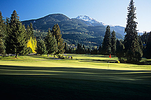 城市,高尔夫球场,惠斯勒山,背景,不列颠哥伦比亚省,加拿大
