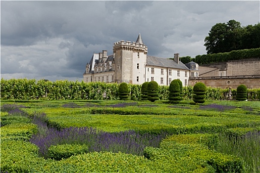 花园,城堡,维朗德里城堡,卢瓦尔河谷,法国