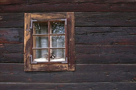 窗户,上巴伐利亚,巴伐利亚,德国