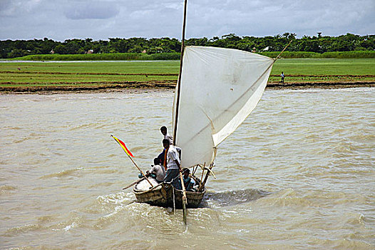 渔民,航行,河,抓住,鱼,孟加拉,七月,2005年,收入,降临节,季风,水,移动,捕鱼