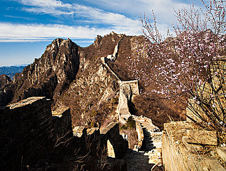 城墙,箭扣长城,文化遗产,桃花