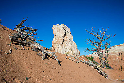 石头,独块巨石,盆地,州立公园,犹他,美国