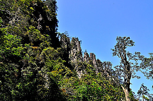 莲花山