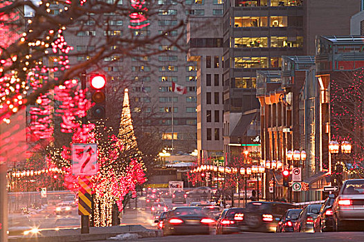 加拿大,魁北克,蒙特利尔,道路,圣诞装饰,晚间