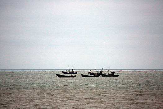山东省日照市,渔船在风浪中勇敢前行