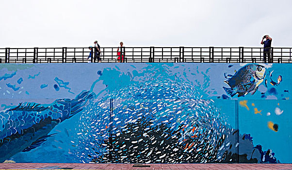港口,墙壁,绘画,海洋动物,特内里费岛,加纳利群岛,西班牙,欧洲