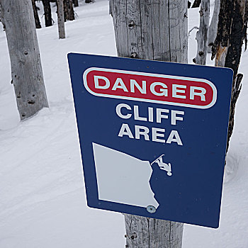 特写,警告标识,树上,惠斯勒,不列颠哥伦比亚省,加拿大