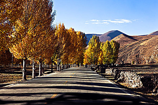 城鎮公路