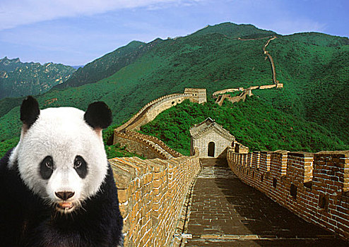 熊猫,长城