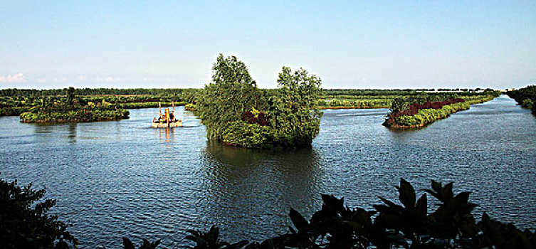 南沙湿地公园