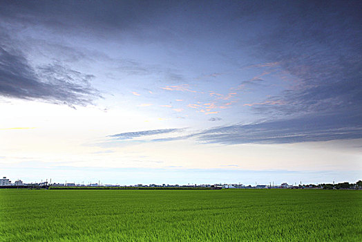 宁和,风景