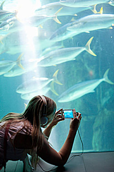 美女,摄影,鱼,智能手机