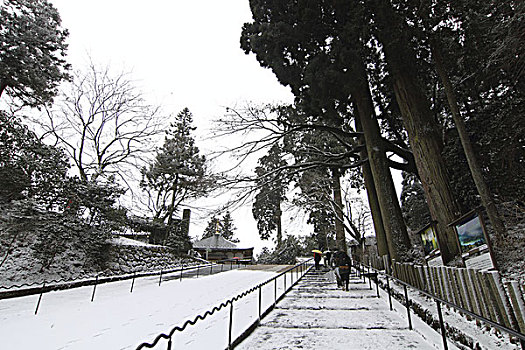 庙宇,京都,马拉松,日本