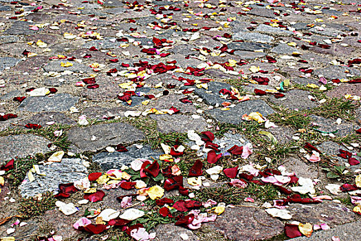 玫瑰花瓣,铺路石