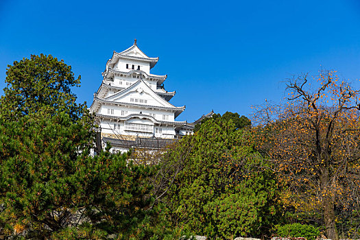 姬路城堡,秋天,日本