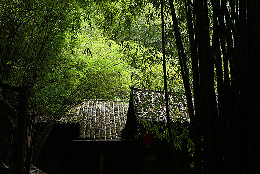 宜昌,三峡人家,长江,运输,航道,民俗,表演,风景,景点,旅游,高山,瀑布,河流,神秘,树木,植被,峡谷,壮观