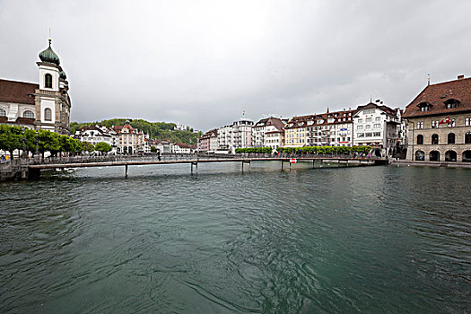 瑞士卢塞恩湖天鹅