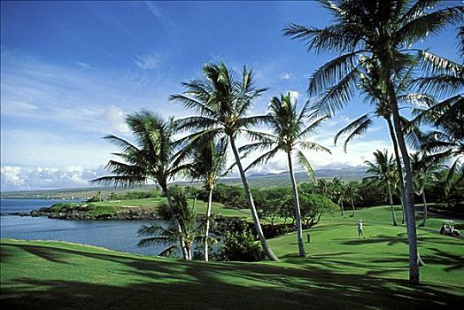 夏威夷,夏威夷大岛,柯哈拉海岸,莫纳克亚山海滩酒店,高尔夫球场,第三,洞
