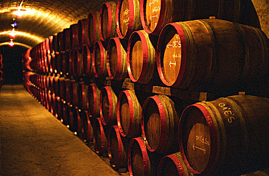 桶,托卡伊,葡萄酒,一堆,地窖,头部,葡萄园