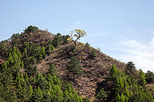 山峦