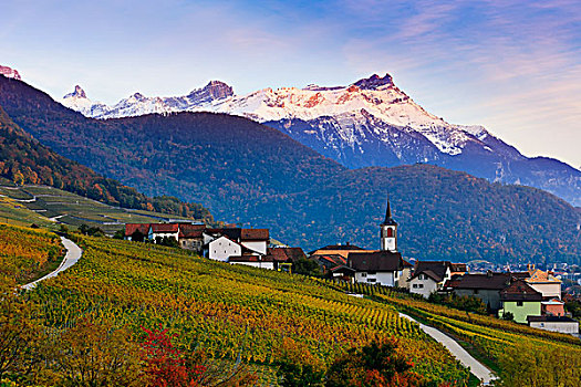 瑞士,葡萄园,乡村
