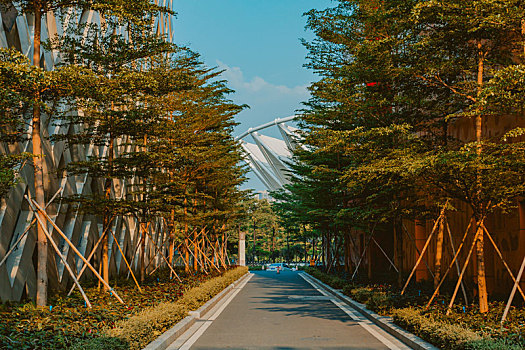 佛山世纪莲,坊塔,佛山大剧院