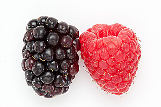 黑莓,树莓,白色
