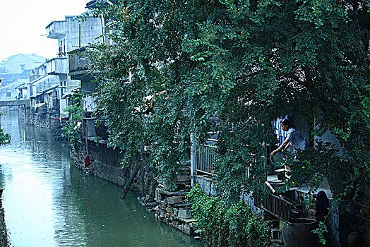 慈溪,鸣鹤古镇,古建筑,水乡,江南,民俗