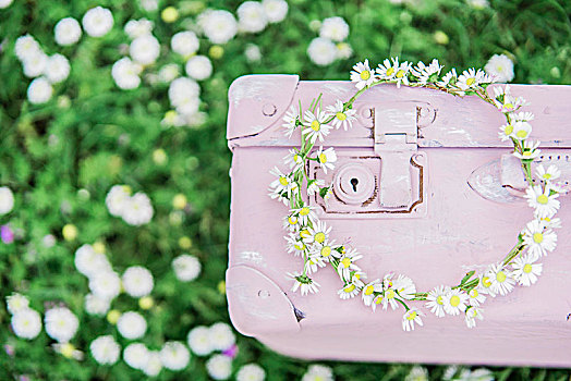 花环,雏菊,粉色,手提箱,草坪