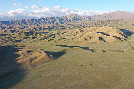 新疆博州,保加拉克牧场风光,航拍