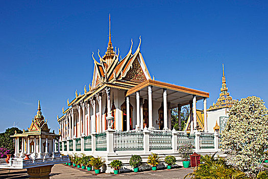 盆栽,靠近,庙宇,银,塔,皇宫,金边,柬埔寨