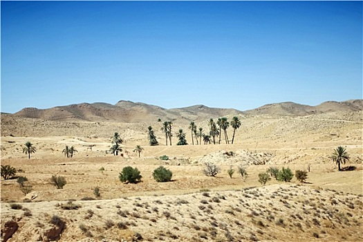 撒哈拉沙漠,南方,突尼斯