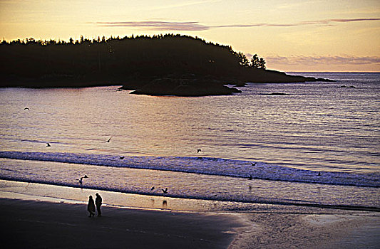 海滩,日出,中间,住宿,温哥华岛,不列颠哥伦比亚省,加拿大