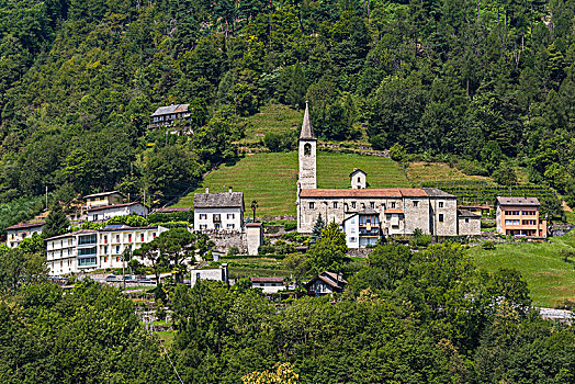 山谷,洛迦诺附近,靠近,马焦雷湖,提契诺河,瑞士