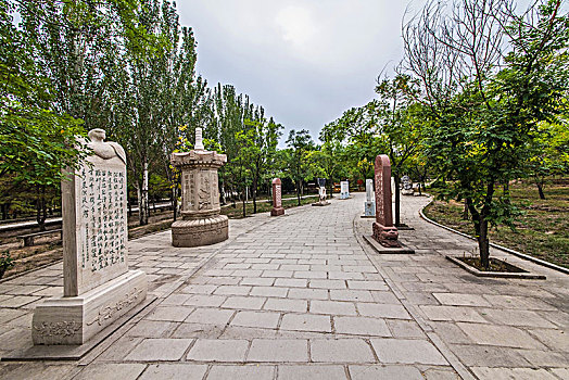 西夏陵石碑路