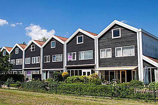 楔形板,房子,郊区,哈勒姆,荷兰