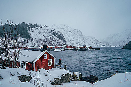 女人,享受,平和,雪,山,风景,水岸,渔村,罗浮敦群岛,挪威