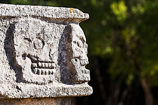 特写,古老,玛雅,石头,雕刻,头骨,紧张,建筑,树,背景,奇琴伊察,尤卡坦半岛,墨西哥