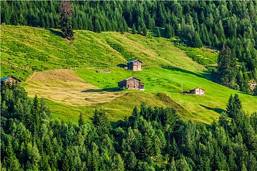 小,乡村,瑞士